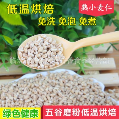 熟小麦仁低温烘焙厂家批发五谷杂粮磨粉现磨豆浆食材原料图2