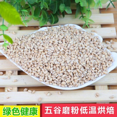 熟小麦仁低温烘焙厂家批发五谷杂粮磨粉现磨豆浆食材原料图5