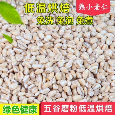 批发低温烘焙熟小麦胚芽现磨五谷粉厂家批发磨坊豆浆粉原料图5