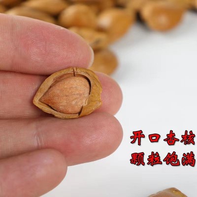 【代发】批发开口杏仁坚果干果 500克办公休闲零食手剥开口杏核图3