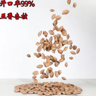 【代发】批发开口杏仁坚果干果 500克办公休闲零食手剥开口杏核图2