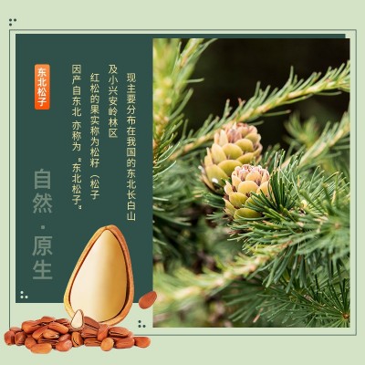 松子特级特大东北批发 坚果零食小吃 大颗粒特产野生开口 鲜松子图2