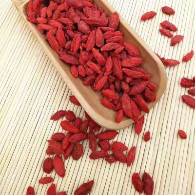 厂家供应 新货宁夏枸杞子 红枸杞500g 新枸杞