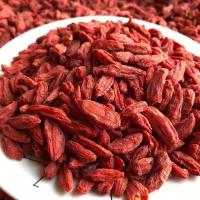 厂家供应 新货宁夏枸杞子 红枸杞500g 新枸杞图3