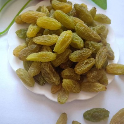 代发新疆葡萄干 新疆特产吐鲁番葡萄干 大量批发绿葡萄干一件代发图3