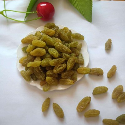 代发新疆葡萄干 新疆特产吐鲁番葡萄干 大量批发绿葡萄干一件代发图4