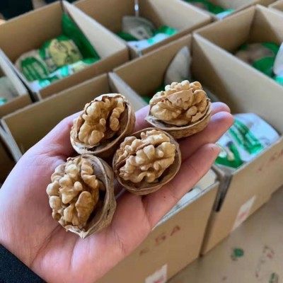 【代发】批发新疆特产纸皮核桃 185纸皮核桃500g手捏薄壳纸皮核桃