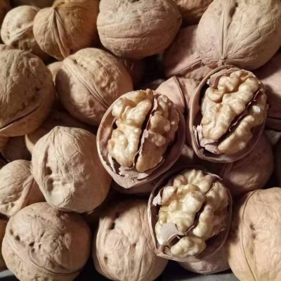 【代发】批发新疆特产纸皮核桃 185纸皮核桃500g手捏薄壳纸皮核桃图2