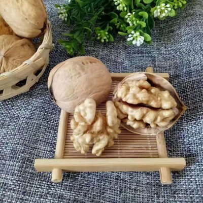 【代发】批发新疆特产纸皮核桃 185纸皮核桃500g手捏薄壳纸皮核桃图3