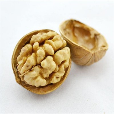 【代发】批发新疆特产纸皮核桃 185纸皮核桃500g手捏薄壳纸皮核桃图5