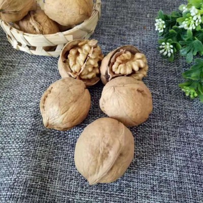 【代发】批发新疆特产纸皮核桃 185纸皮核桃500g手捏薄壳纸皮核桃图4