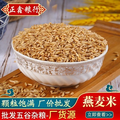 大量供应燕麦米 批发燕麦米 莜麦五谷杂粮生燕麦米袋装24.4kg图1