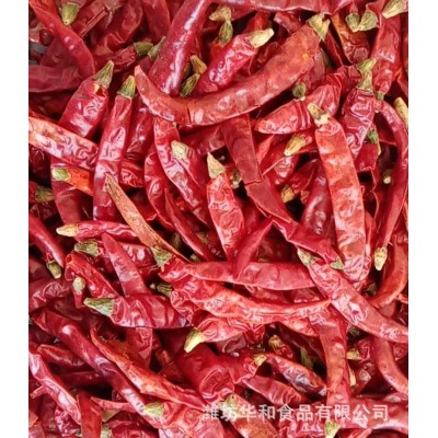 大量批发魔鬼椒 剪把 高辣印度S17辣椒1000g 品质保证 厂家销售图4