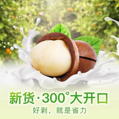 三只松鼠夏威夷果160g网红坚果干果零食孕妇健康干果大头装批发图2
