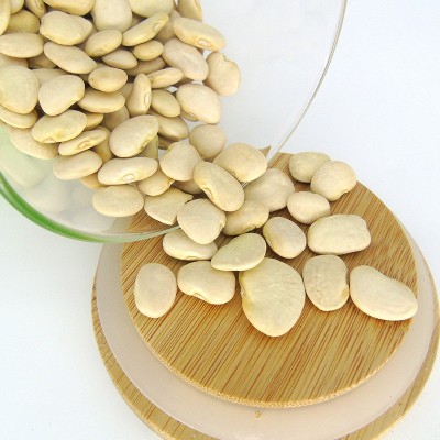 加拿大进口五谷杂粮批发白扁豆生扁豆散装白扁豆量大价优白扁豆图2