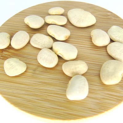 加拿大进口五谷杂粮批发白扁豆生扁豆散装白扁豆量大价优白扁豆图3