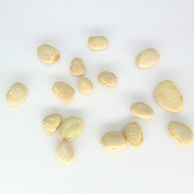 加拿大进口五谷杂粮批发白扁豆生扁豆散装白扁豆量大价优白扁豆图4