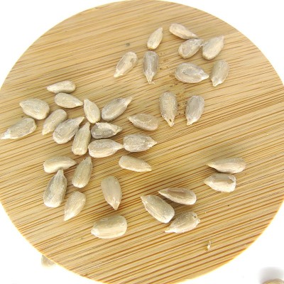 产地货源批发生瓜子仁 烘焙榨油原料五谷杂粮新货葵花籽仁图3