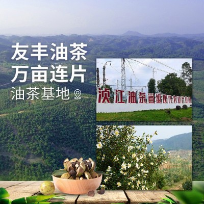 有机山茶油1.5L罐装物理压榨一级茶树纯山茶油茶籽食用油农家茶油图3
