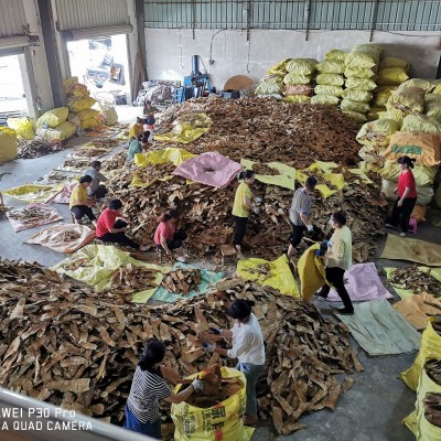 笋干批发嫩笋尖福建永安笋干竹笋碳烤笋农家笋高山笋春笋新鲜笋丝图3