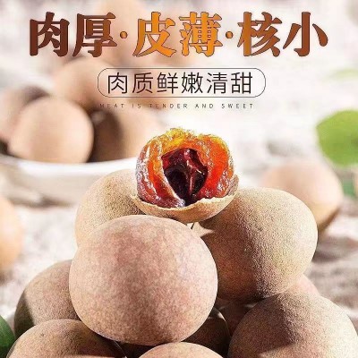 莆田新桂圆干小核肉厚 桂圆休闲零食农产品龙眼干批发5A6A可代发图2