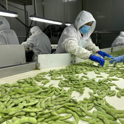 出口品质速冻毛豆 代加工速冻毛豆角山东厂家供应冷冻毛豆荚图4