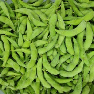 出口品质速冻毛豆 代加工速冻毛豆角山东厂家供应冷冻毛豆荚图2