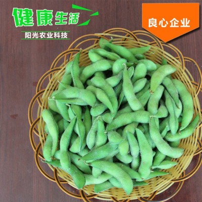 出口品质速冻毛豆 代加工速冻毛豆角山东厂家供应冷冻毛豆荚图5