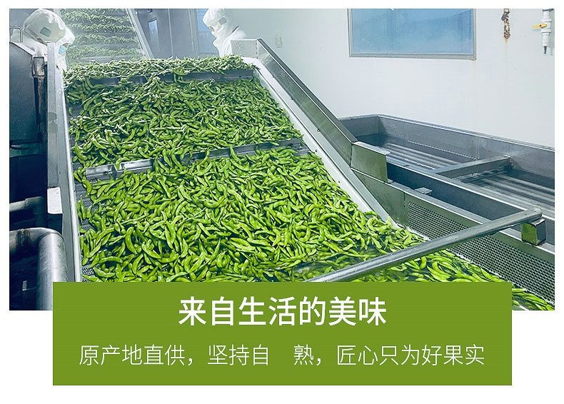 毛豆切片_07_副本