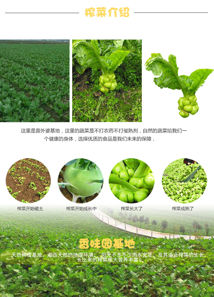 产品介绍（2500g麻辣三丝）_06