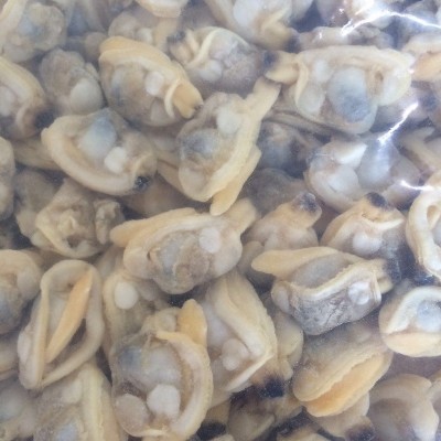 单冻冻煮杂色蛤肉L规格300-500花蛤冷冻蛤蜊肉无沙出口标准海鲜图2