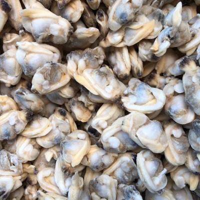 单冻冻煮杂色蛤肉L规格300-500花蛤冷冻蛤蜊肉无沙出口标准海鲜图4