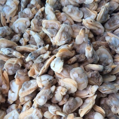 丹东花蛤肉冻煮杂色蛤肉蛤蜊肉SS蚬子肉出口标准厂家10kg箱图3