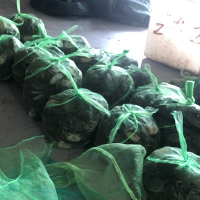 大闸蟹螃蟹现货现补六月黄兴化河蟹批发鲜活提货送礼卡供阳澄湖镇2份图4