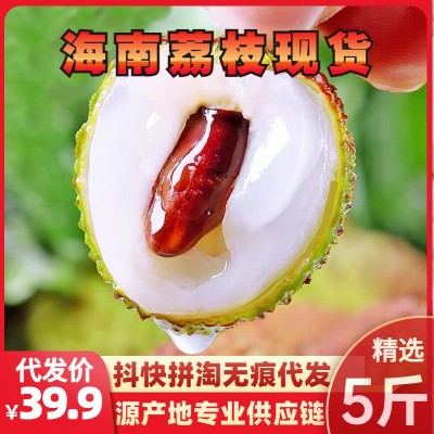 现货荔枝2023年海南当季新鲜妃子笑荔枝一件代发桂味 白糖罂 4.5斤礼盒装无核荔枝