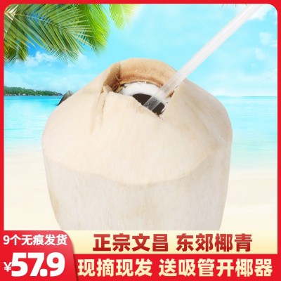 海南椰青新鲜9个装椰子水汁孕妇水果去皮青椰 椰皇 电解质水 整车