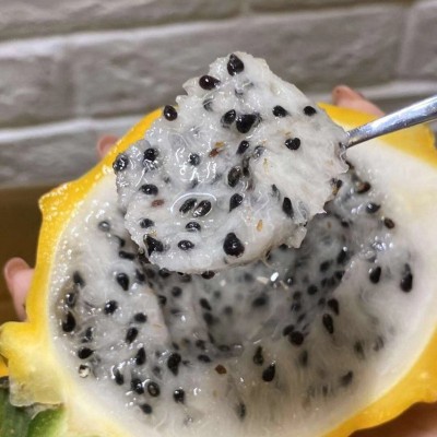 海南麒麟果黄色火龙果麒麟燕窝果新鲜黄龙果4斤空运 燕窝果4斤特大果8-10个礼盒【一件起拍图2