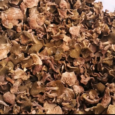 【红乳】云南特产红乳牛肝菌红牛肝菌干货火锅煲汤食材 批发代发图2