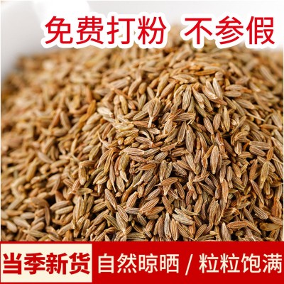 孜然 OEM定制可打粉孜然调料 贴牌烧烤孜然香料源头厂家大货批发 250克图3