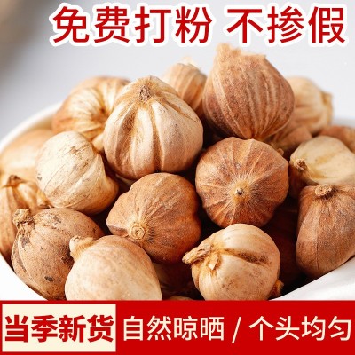 白豆蔻 香料足干白蔻仁调味料 源头厂家一手货源现货批发免费打粉  250克/袋