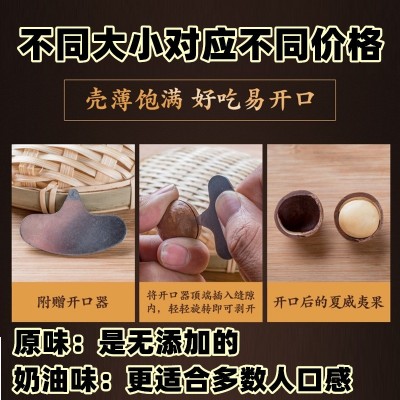 原味干果夏威夷果散装整箱批发大颗粒奶油味休闲小袋干果零食坚果 原味图2