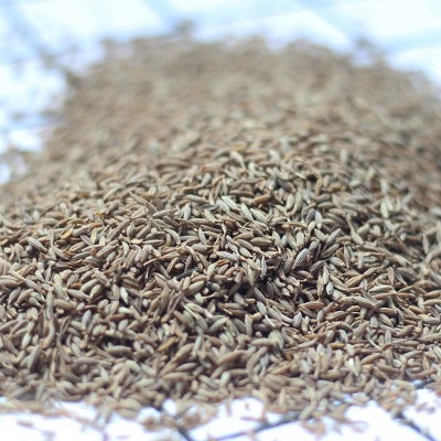 孜然散装孜然颗粒调料烧烤撒肉烤肉腌料孜然粒香料大全批发可磨粉图2