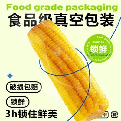 东北甜糯玉米新鲜现摘2022黄黏真空包装玉米粒低脂水果香粘黏苞米 【非转基因】热销白甜玉米-8根图4