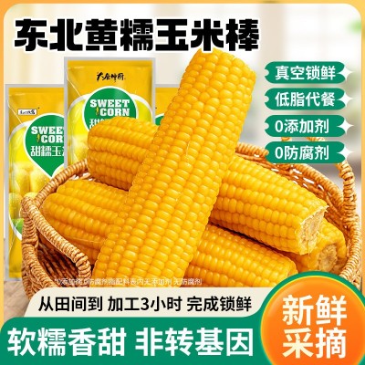 东北甜糯玉米新鲜现摘2022黄黏真空包装玉米粒低脂水果香粘黏苞米 【非转基因】热销白甜玉米-8根