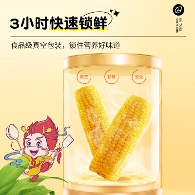 东北甜糯玉米新鲜现摘2022黄黏真空包装玉米粒低脂水果香粘黏苞米 【非转基因】热销白甜玉米-8根图2