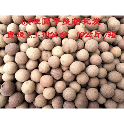22年新货6A5A大个桂圆干新鲜散装20斤整箱 大桂圆源头直供批发图2