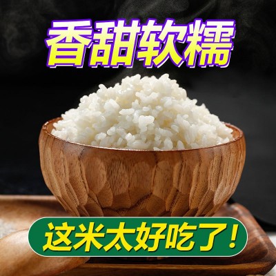 东北寒地大米当季新米群艳长粒香米10斤包邮厂家批发一件代发图2