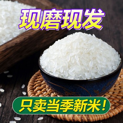 东北寒地大米当季新米群艳长粒香米10斤包邮厂家批发一件代发图3