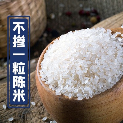 东北大米新米上市群艳寒地珍珠米10斤装一件代发批发包邮图3