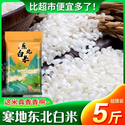 寒地东北大米白米5斤厂家批发一件代发当季新米